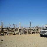 Nesito vor dem Himba-Kraal
