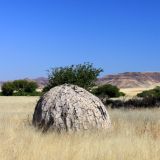 Himba Behausung im Kaokoveld
