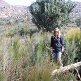 Wir wandern durch die Cedarberge
