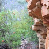 Hidden Gorge im Mount Remarkable Nationalpark
