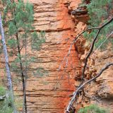 Felsformationen im Mount Remarkable Nationalpark

