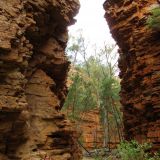Hidden Gorge im Mount Remarkable Nationalpark
