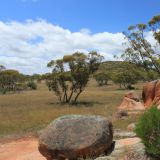Felsformationen im Gawler Ranges Nationalpark
