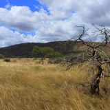 Gawler Ranges Nationalpark

