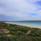 Strand von Streaky Bay auf der Eyre Peninsula
