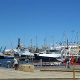 Fremantle, die Hafenstadt südlich von Perth hat es uns angetan
