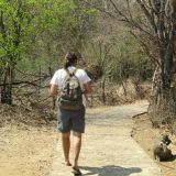 Entlang der Vic Falls
