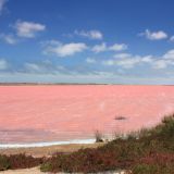 In Westaustralien trifft man immer wieder auf solche Algenseen.
