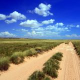 Auf dem Yardie Creek Run, einer Piste entlang der Westküste.
