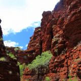 Aussicht auf den Weano Gorge
