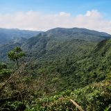 Wieder mobil unterwegs, besuchen wir das Nebelwald Reservat Monteverde. Es ist bekannt für den heiss begehrten Göttervogel, den Quetzal. Ob wir diesmal Glück haben?
