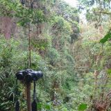 Beim Mirador de Quetzales sollen weitere Exemplare des Götter-Vogels zu finden sein. Nach dem missglückten Versuch beim Monteverde Reservat soll es diesmal klappen.
