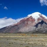 Mit 6'267 m ü. M. ist der Vulkan Chimborazo nicht nur der höchste Berg von Ecuador, sondern auch der höchste Berg der Welt. (Erklärung dazu gibt es im RB)

