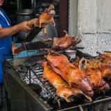 Cuy, Meerschweinchen, zählen in Ecuador als Spezialität. 
