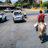 Das Pferd ist immer noch ein wichtiges Transportmittel im armen Nicaragua. 

