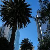 Moderne Wolkenkratzer zieren einen Teil des Stadtbildes von Mexiko City. 
