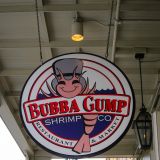 Wer kennt sie nicht, die Bubba Gump Shrimps aus dem Film "Forrest Gump"?
