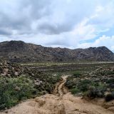 Der Weg entlang der Mojave Road wird nicht mehr unterhalten. So kommt es vor, dass einige Pisten extrem buckelig sind. 
