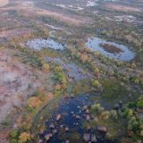 Das Okavango-Delta aus der Vogelperspektive. 
