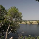 Blick auf den Chobe River. 
