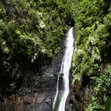 Kleiner Wasserfall auf Tahiti. 
