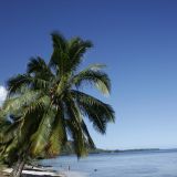 Traumstrand bei "Tahiti Iti", dem suedlichen Teil der Insel. 
