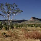 Die "Cockburn Ranges" in den "Kimberleys". Irgendwie fragt man sich doch schon, wie man denn eine Hügelkette "verbrannten Zipfel" benennen konnte. Aber das Gute daran, dieses Wort vergessen wir bestimmt nicht mehr. 
