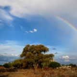 Kurz vor dem Eingang in den Etosha N.P.. Verspricht uns der Regenbogen gutes oder schlechtes Wetter?
