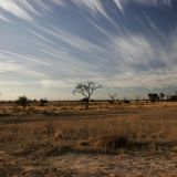 Frühmorgens unterwegs in der Kalahari.
