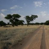 Und wir rattern gemütlich weiter nordwärts, auf einsamen Pisten durch den Kalahari-Teil von Botswana. Bis zum nächsten Mal!
