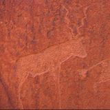 Gut erhaltene Kudu Gravur, ebenfalls in Twyfelfontein.
