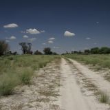 Unterwegs in der Central Kalahari.
