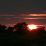 Sonnenaufgang in der Central Kalahari.
