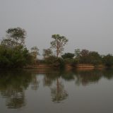 Schöne Pantanal-Stimmung

