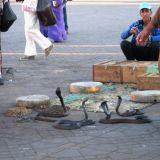 Tagsüber tummeln sich sehr viele Gaukler auf dem berühmtesten Marktplatz Marokkos: Dem Djema el Fna
