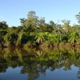 Die vielfältige Vegetation spiegelt sich im ruhigen Wasser des Rios Aquidauanas wider.
