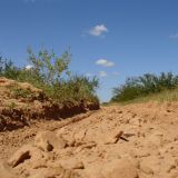 Im Chaco haben sich die früheren Schlammlöcher in Sandpisten verwandelt.
