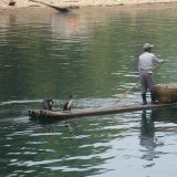 Ein Fischer rudert mit seinem Bambusfloss - als Passagiere befördert er Kormorane, die er zum Fischen braucht.
