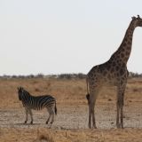 Etosha Nationalpark
