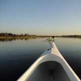 Mit dem Kanu durch das Okavango-Delta
