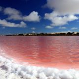 Pink Lake - Das Betakarotin einer Alge verleiht dem Salzsee diese grelle Farbe
