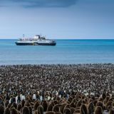 Unser letzter Tag auf Südgeorgien wird gespickt mit einem vollen Programm. In "St. Andrews Bay" besichtigen wir die mit 150'000 brütenden ...
