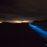 Was für ein seltenes Schauspiel. Fluoriszierende Bakterien lassen das Wasser blau erleuchten, während im Hintergrund ein Gewitter tobt.
