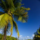 Unser erster Platz in Belize, das "Lamanai River Retreat" in Orange Walk. 
