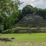Nach gut zwei Stunden Fahrt auf dem New River legen wir bei den Maya Ruinen von Lamanai an und machen uns sogleich auf den Weg um die Stätte zu erkunden. Erster Stopp ist beim Jaguar Tempel.
