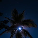 Bei Vollmond unter einer Palme - So haben wir noch nie Fondue gegessen.
