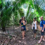 Beim Bermudian Landing besuchen wir das Shanes Baboon Camp. Auf diesem Gelände hat sich eine Brüllaffen-Familie einquartiert.
