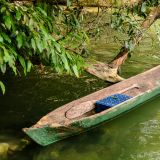 Der Einbaum, ein weiteres Transportmittel auf dem Rio Dulce. 
