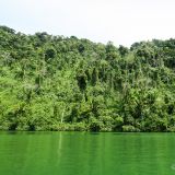 Tiefer Dschungel umgibt den Rio Dulce. 
