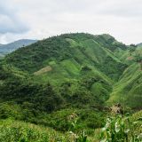 Grün ist die Farbe von Guatemalas Bergwelt. 
